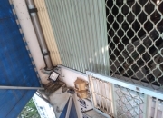 Cửa cuốn ở Dĩ An